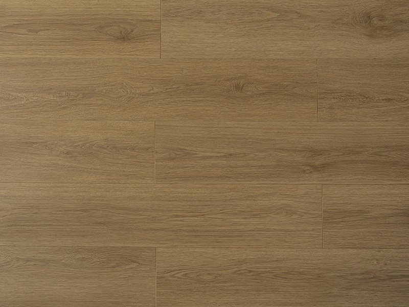 Soft Oak Warmth